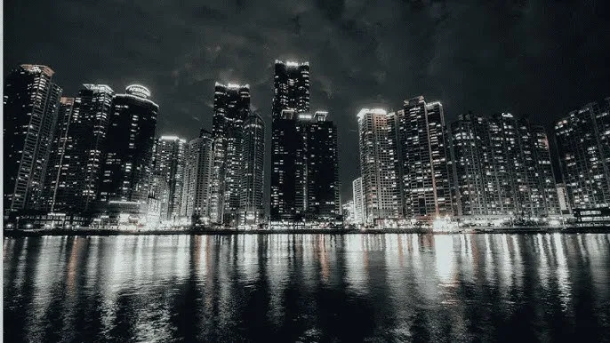 妖精视频网站网页版 - 城市之光：霓虹背后的人间烟火